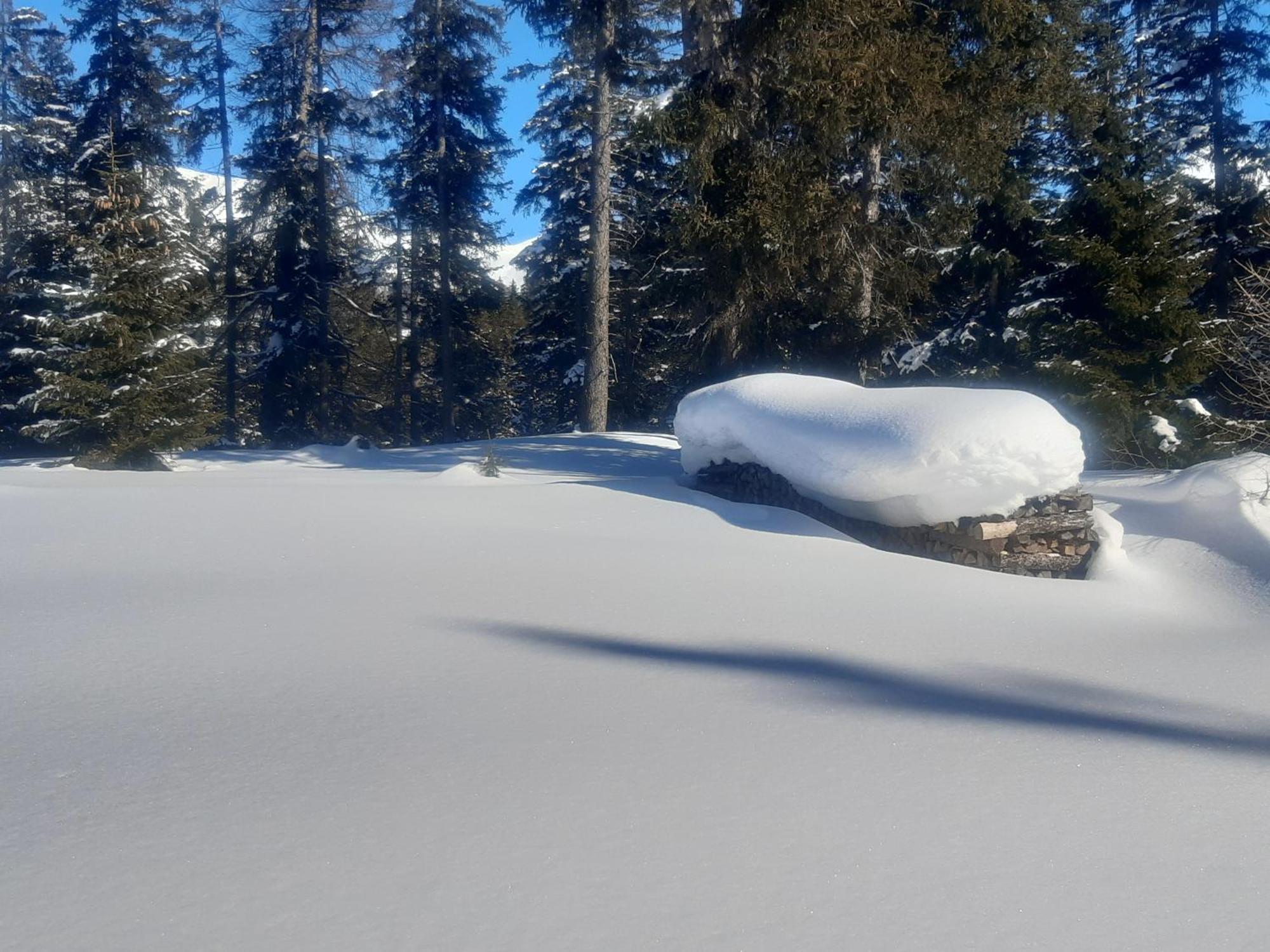 Valrunzhof Direkt Am Seilbahncenter Villa Nauders Dış mekan fotoğraf